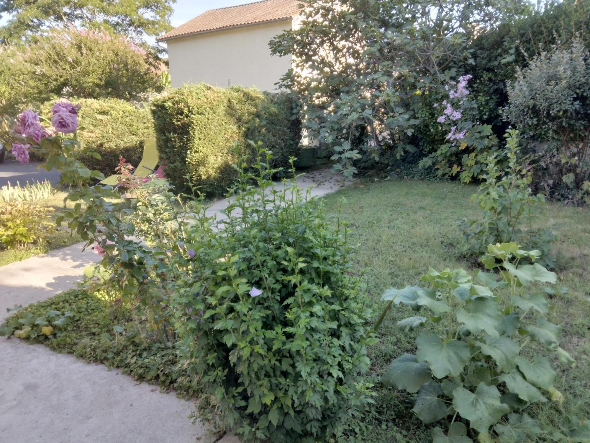 Chambre D'Hote Dans Maison Privee Périgueux Zewnętrze zdjęcie